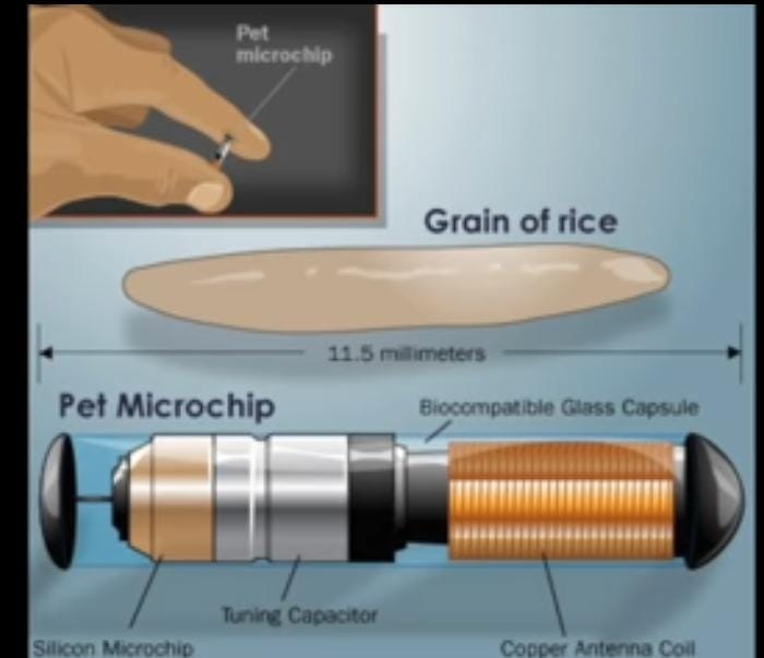 microchip